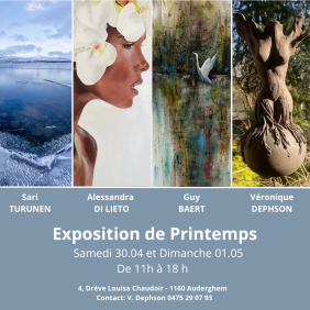 Expo entre amis